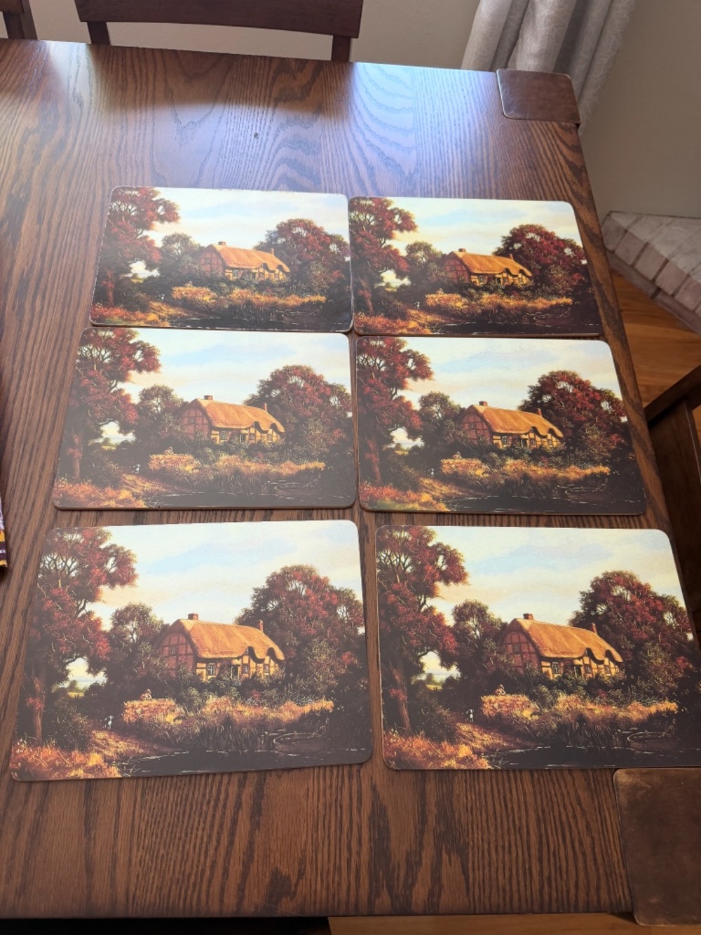 6 Vintage CorkBack Placemats Featuring English Cottage.
